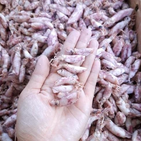 

ikan asin baby cumi ukuran kecil kemasan 1 kg
