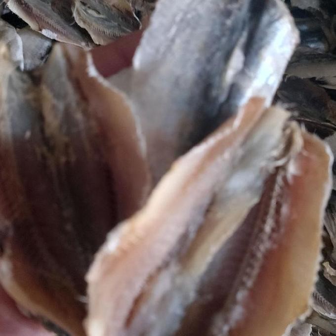 

ikan asin / ikan asin tembang gurih 1kg