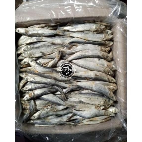 

Ikan Asin Japuh Super 1 Kg Kualitas Terjamin dan Rasa Autentik untuk Memanjakan Selera