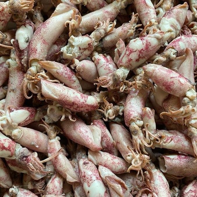 

Ikan asin NR CUMI ASIN enak dan gurih