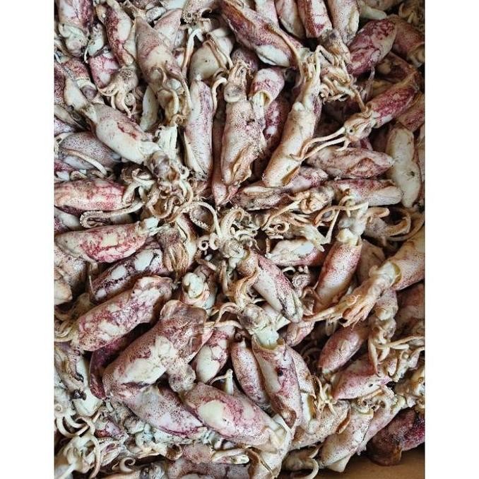 

Terlaris! Cumi asin 1kg Termurah/cumi asin rebus/ikan asin cumi