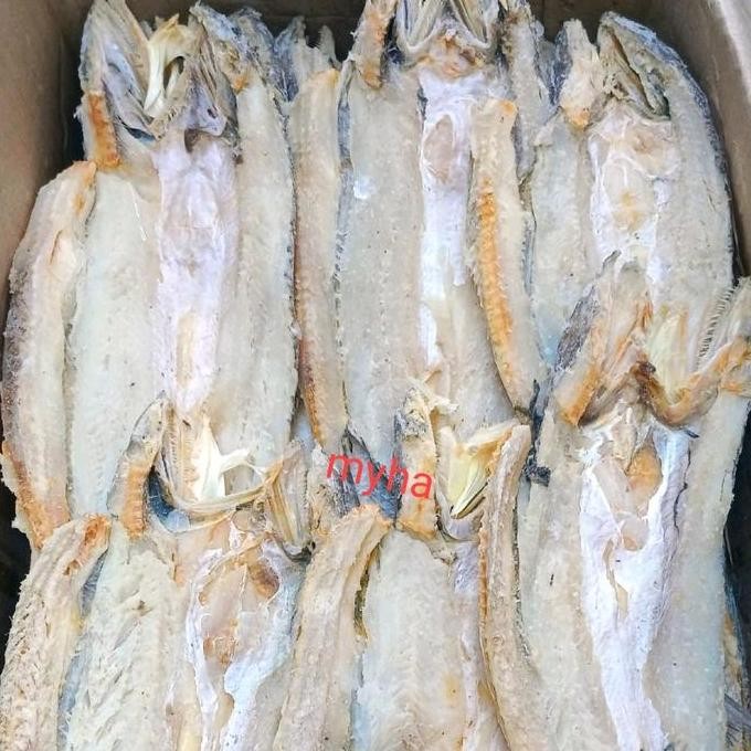 

ikan asin bloso 1kg ikan asin jenggalak ikan asin gabus Special superan