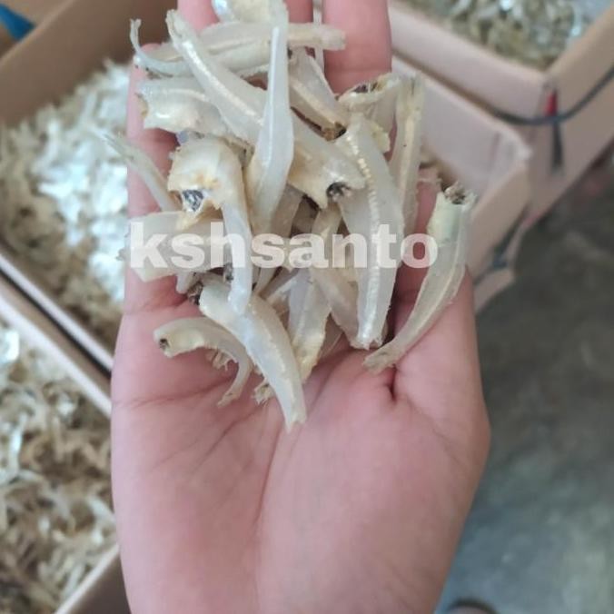

NEW IKAN ASIN TERI JENGKY DAGING-1KG