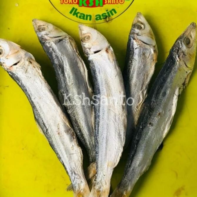 

Ikan Asin Japu Ketan Super-1Kg