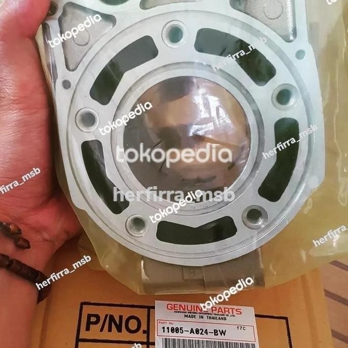 Blok PDK Gold BW Ninja R Ninja RR