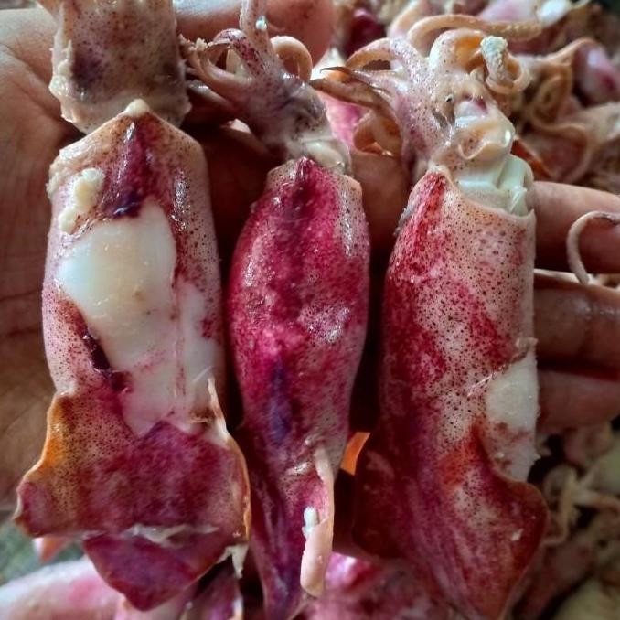 

Ikan Asin Cumi Jarum Jumbo Bk,Per 500Gr Berkualitas