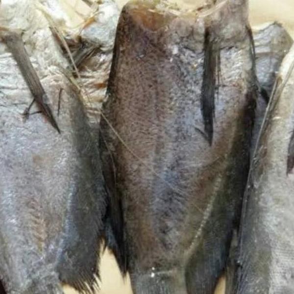 

Ikan Asin Sepat Ukuran Sedang 500 gram