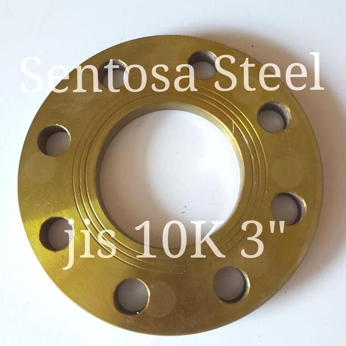 Flange Jis 10K Ns 3" Ns