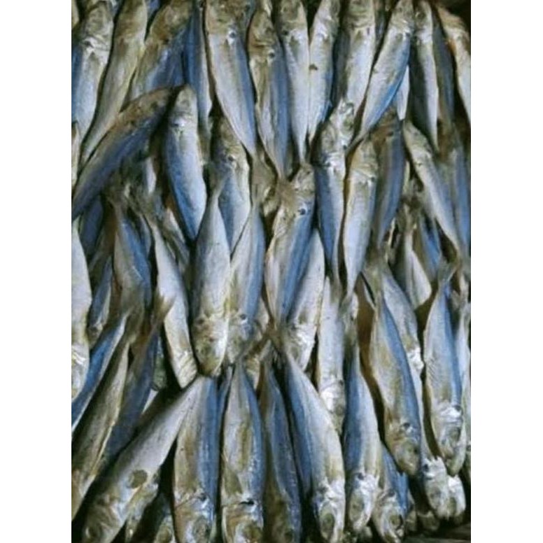 

Ikan Asin Klotok / Layang / Peda 1kg Super - Murah Berkualitas