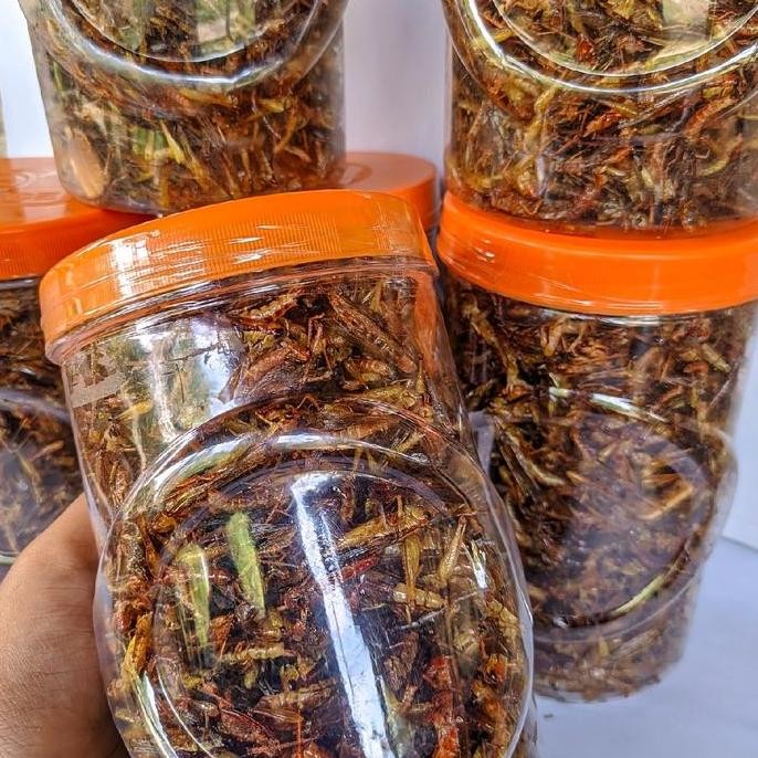 

Belalang Goreng Padi/Utis Kemasan Toples Sosis Rasa Pedas Gurih Makanan Food Snacks Cemilan
