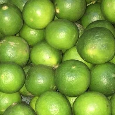 

RKM JERUK NIPIS 1 kilogram / fresh / termurah / kualitas ok buah