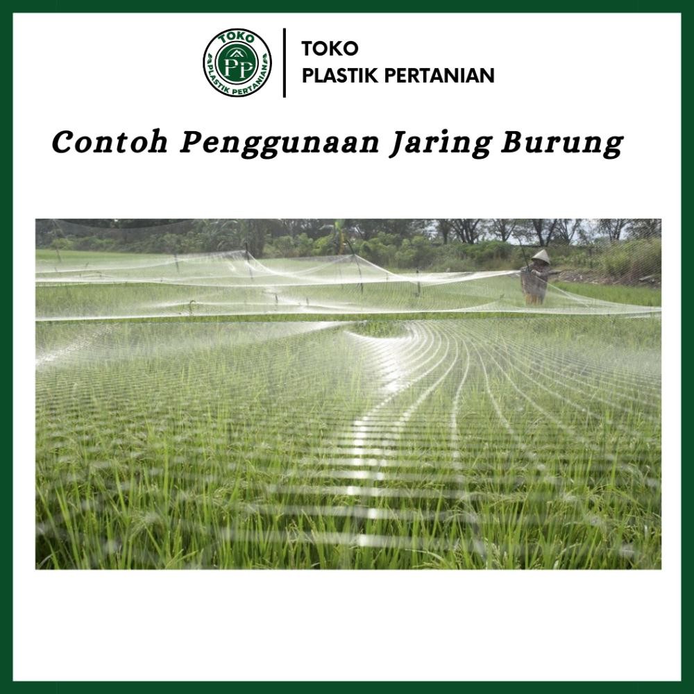 Jaring Burung 0.12 100Md 100 Yard - Jaring Pelindung Padi Spaylater 0%|Terlaris|Trend|Baru|Ready|Rea