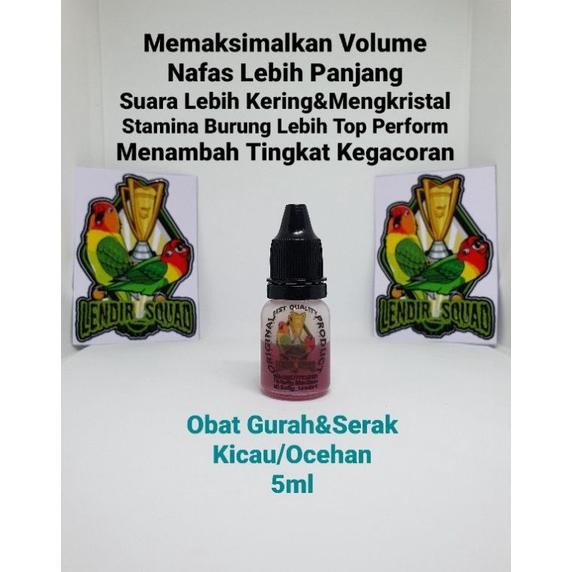 OBAT GURAH BURUNG LENDIR SQUAD VITAMIN SUPLEMEN SUPER CUCAK HIJAU MURAI BATU KACER DiM