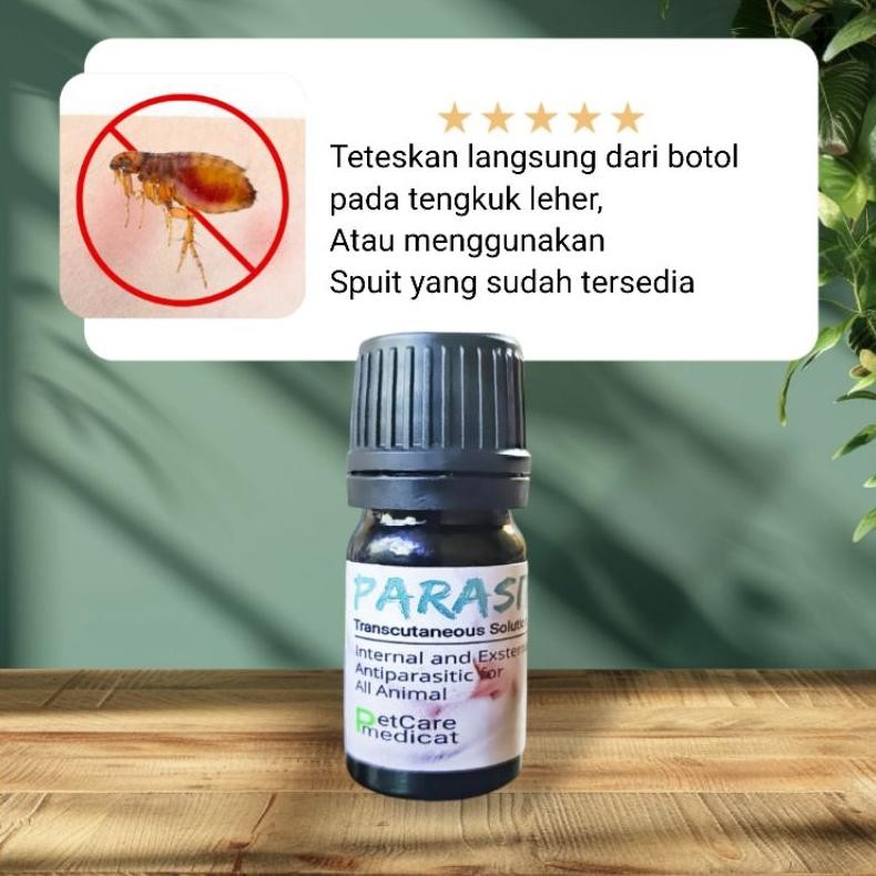Heatshrin Obat Kutu Kucing Ampuh Obat Cacing Ampuh Obat Kutu Kucing Ampuh Obat Kutu Ampuh Obat Scabi