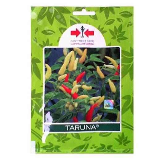 Benih Panah Merah Cabe Rawit Taruna 10 Gram - Benih Unggul Siap Tanam