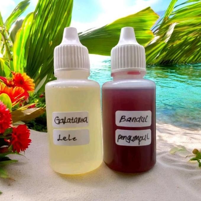 Super Murah, Paket Essen Biang Kerok Oplosan Galatama Lele+Bandul/Pengumpul 30Ml Umpan Ikan