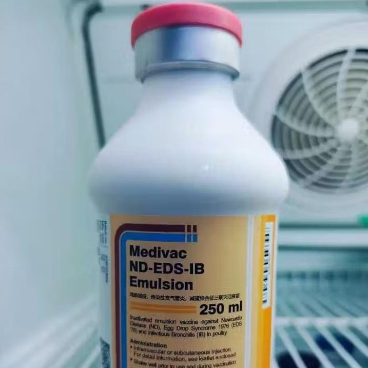Vaksin Ayam Petelur Medivac Nd Eds Ib Emulsion 250 Ayam