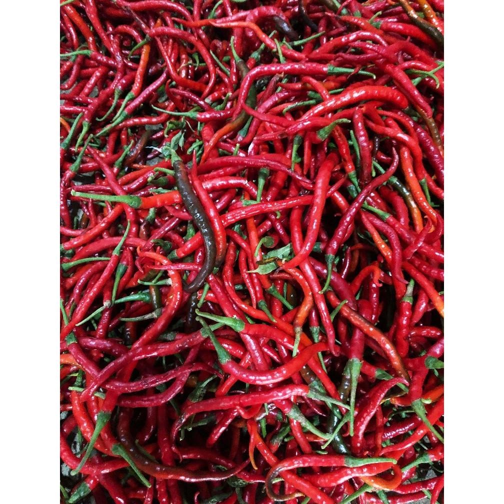 

Termurah Cabe/Cabai Merah Keriting 1 Kg Segar Asli Blitar
