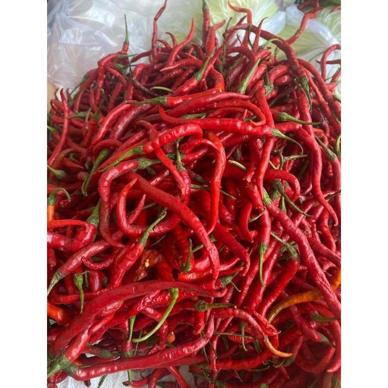 

Trending Cabe Merah Kriting 1 Kg Murah Meriah