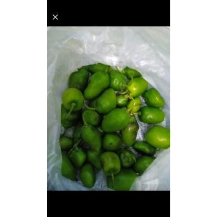 

Fungsi Cabe Gendot Bandung Cabai Bendot Fresh 500Gr