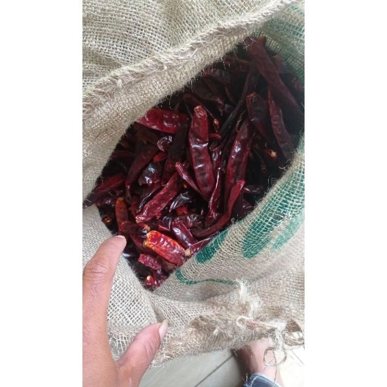 

Bisa Diandalkan ( Cabe Super 1.Kg ) Cabe Merah Besar Super Kering Tanpa Tangkai Kualitas Bagus