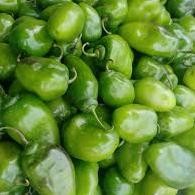 

Bahan Terbaik 1 Kg Cabe Gendot Cabai Bendot Segar Teh Shaty