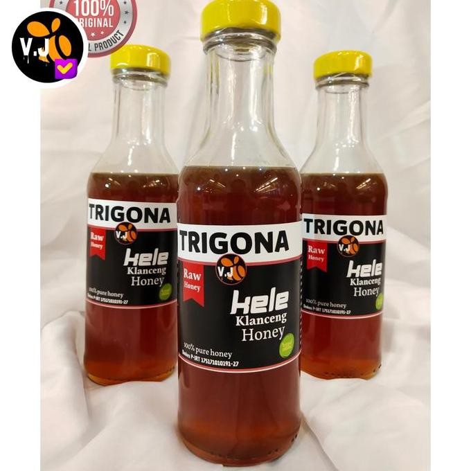 

TERMURAH MADU KELULUT KLANCENG TRIGONA ASLI 250GR - MADU LEBAH KECIL SUPER