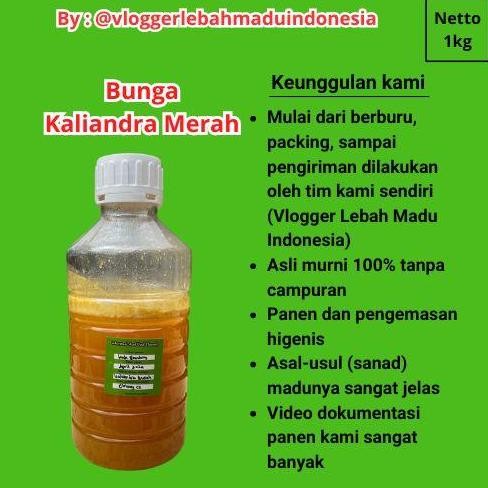 

TERMURAH BIBIT NANGKA MADU MERAH 3 BATANG NANGKADAK NANGKA UNGGUL CEPAT BERBUAH