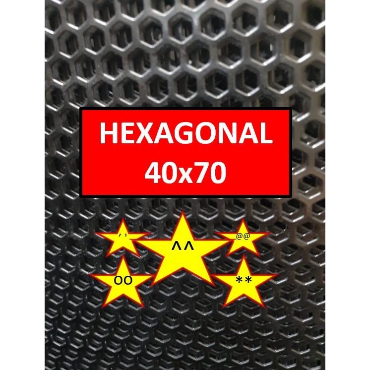 Plat Ram Speaker - 40x70 - Hexagonal - Ram Grill Box Sound - Grill Speaker DiM