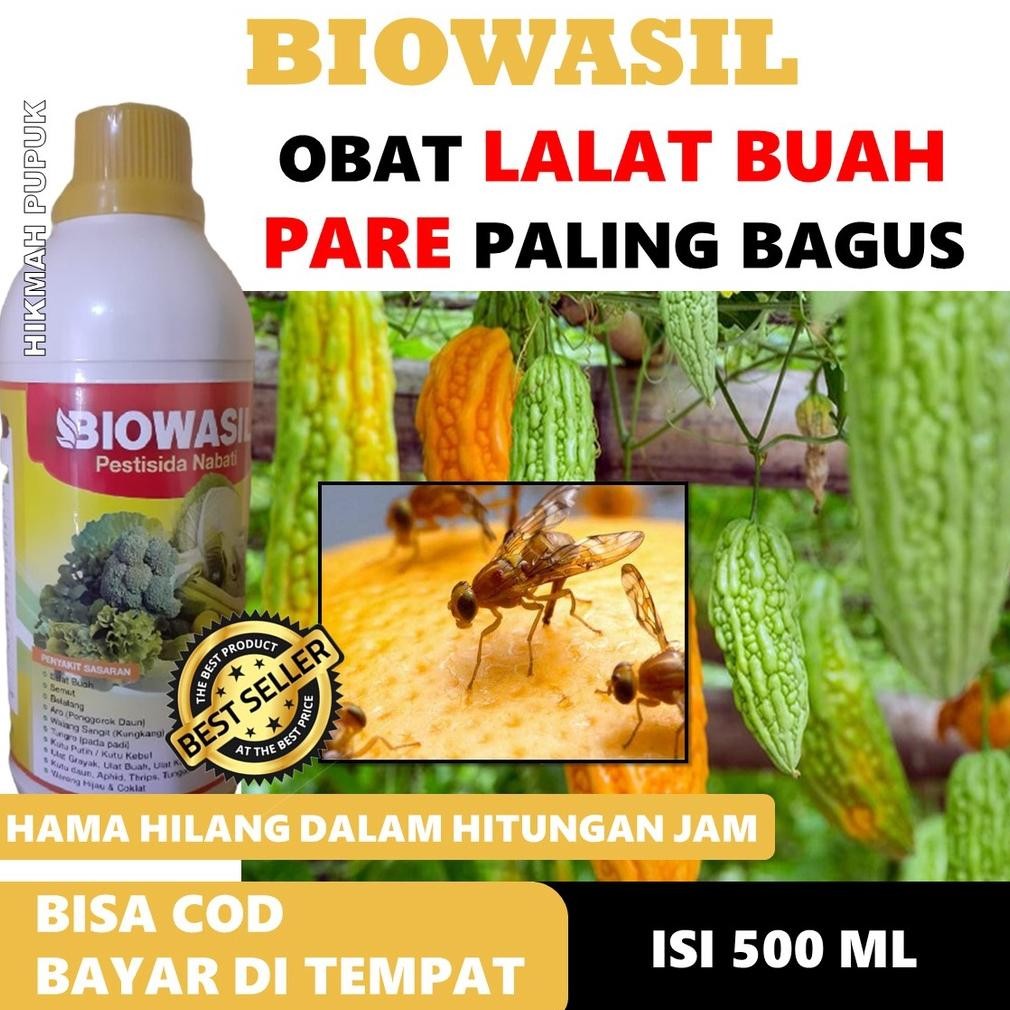 COD AMAN BIOWASIL INSEKTISIDA LALAT BUAH PARE PALING LARIS, Obat Anti Rontok Buah Pare Sebelum Masak