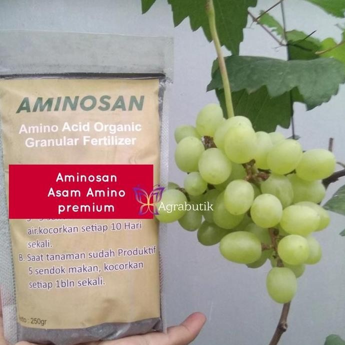 Aminosan Asam amino premium aneka tanaman buah anggur MMZ