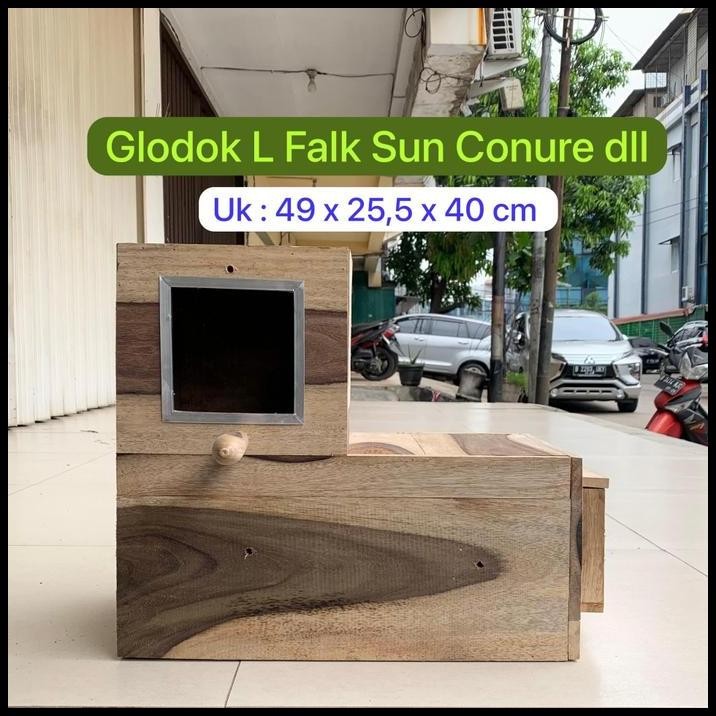 Glodok L Burung Falk Sun Conure Monk IRN Glodok Parrot Kaca KL