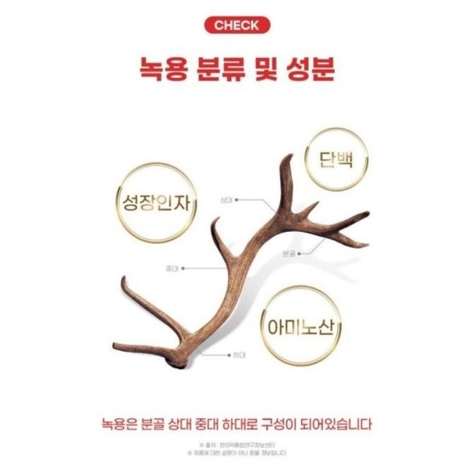 

[10 Sachet] 6 Years Old Korean Red Ginseng Everyday Extract 365 Stick