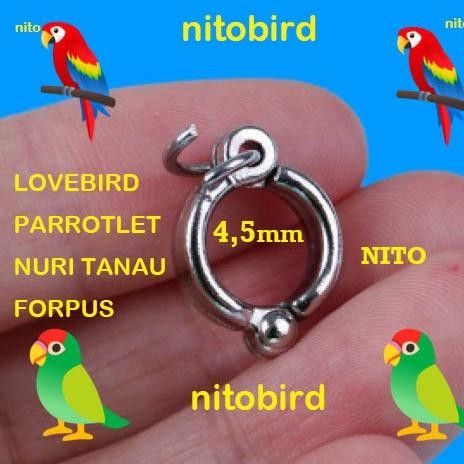 ring borgol 4,5mm lovebird parrotlet nuri tanau forpus 0,45cm kuat aman ring borgol kaki burung parr