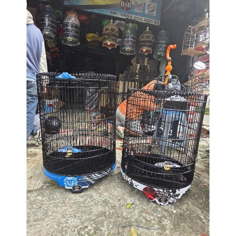 sangkar kandang burung murai rafi jaya DiM