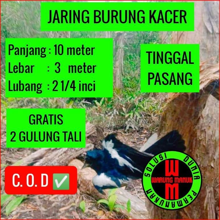 JARING BURUNG KACER 10 meter JARING BURUNG KACER JARING BURUNG KUTUT JARING BURUNG TILANG JARING BUR