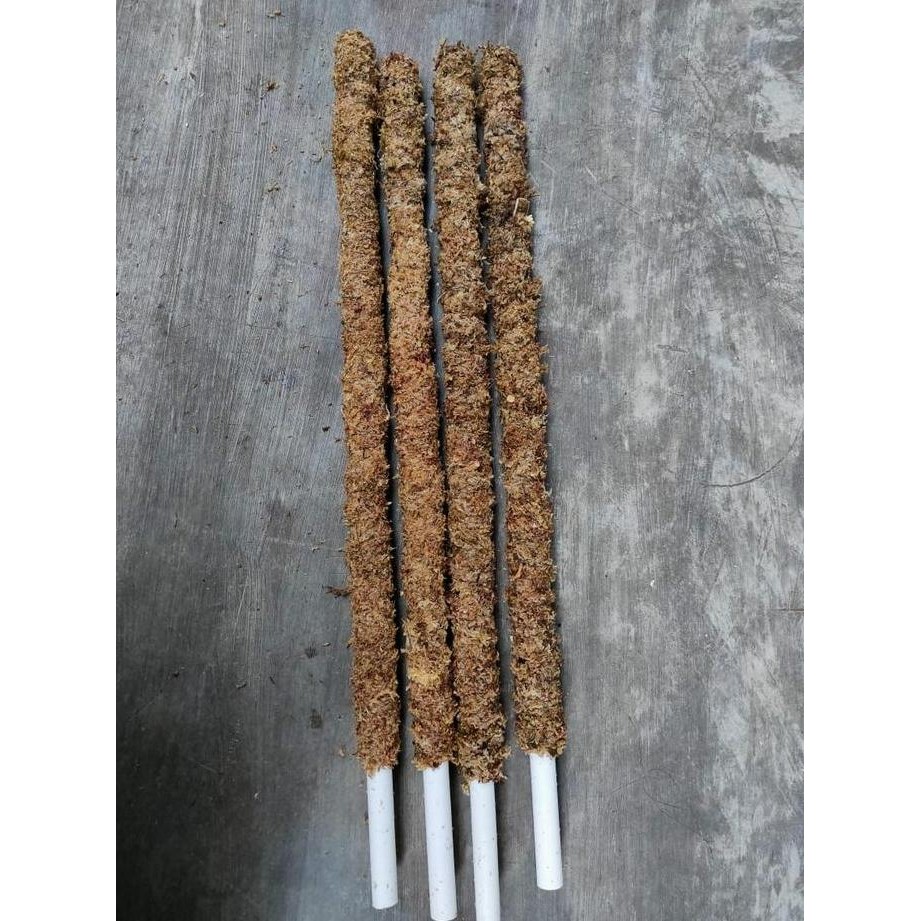 

TURUS SPAGNUM CHILI BISA DISAMBUNG 60cm TUPACIL