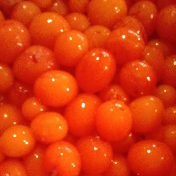 

telur ayam muda uritan gran is