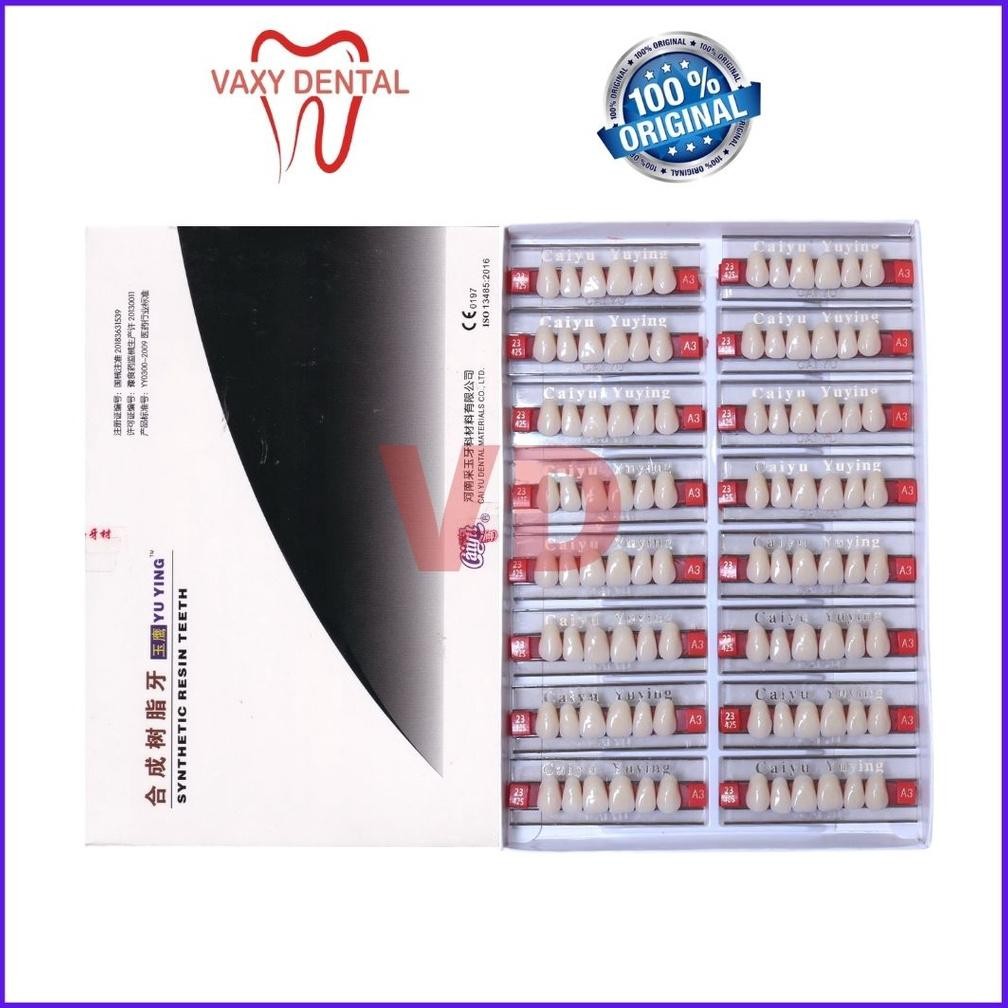 Gigi Caiyu Depan Atas 1 Box/Kotak/Dus Isi 16 Papan Gigi Palsu Merk Caiyu Yuying Cayu Anterior Upper 