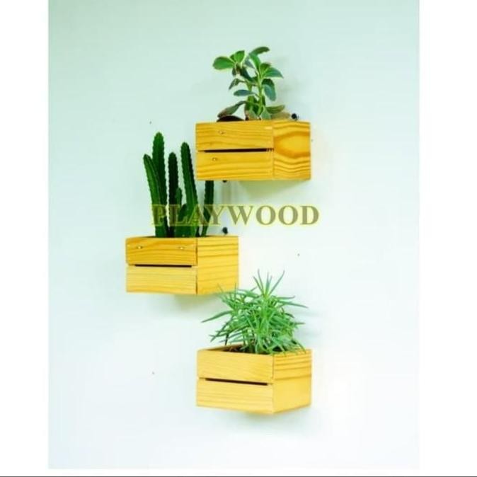 Stok Sj Rak Dinding Pot Bunga Tanduk Rusa || Rak Dinding Serbaguna Jati Londo3