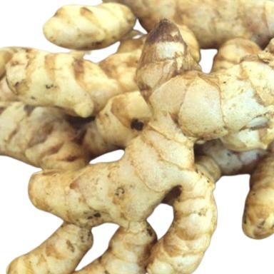 

Kunyit Putih 1Kg Kunyit Kunir Temu Putih