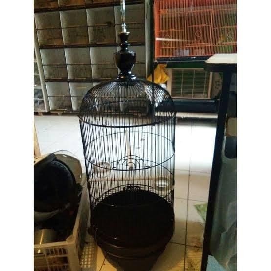 kandang kapsul Lovebird merk panda