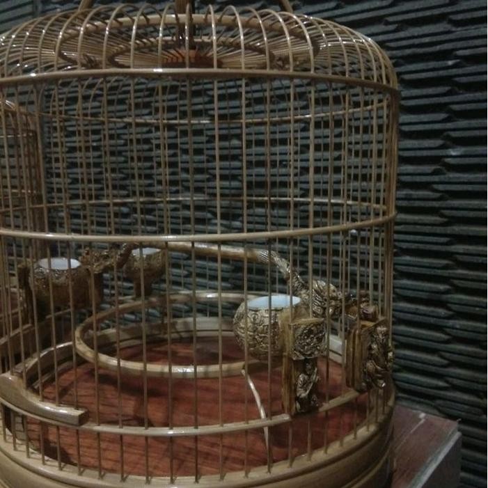 sangkar cungkok pleci dm24 sudah fullset aksesoris dan krodong