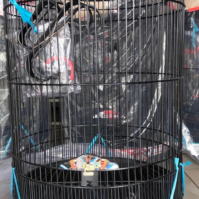 sangkar murai ebod pvc decal