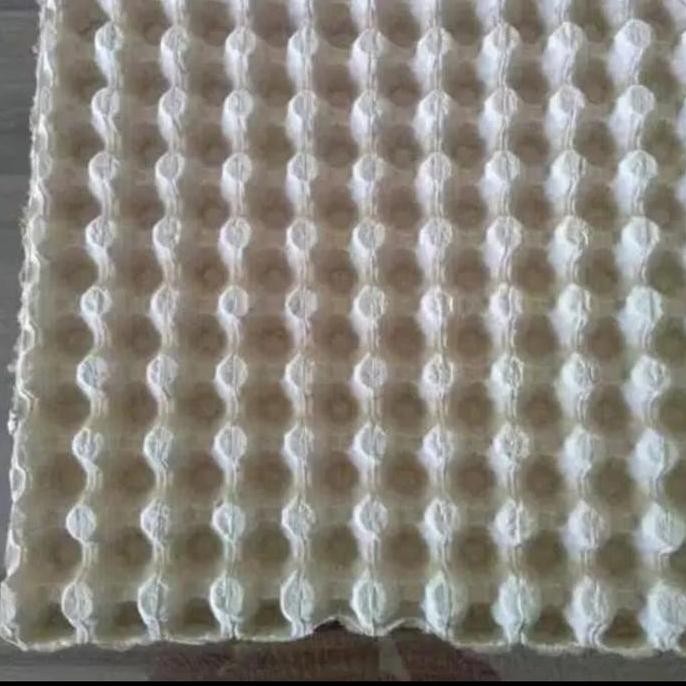 tray telur puyuh per ball