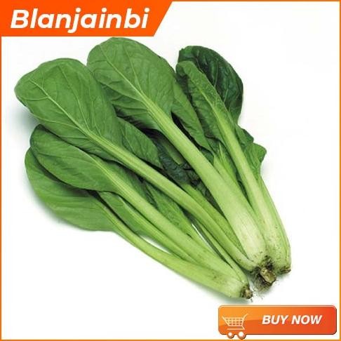 

Bayam Jepang Horenso Bandung Area Nugi