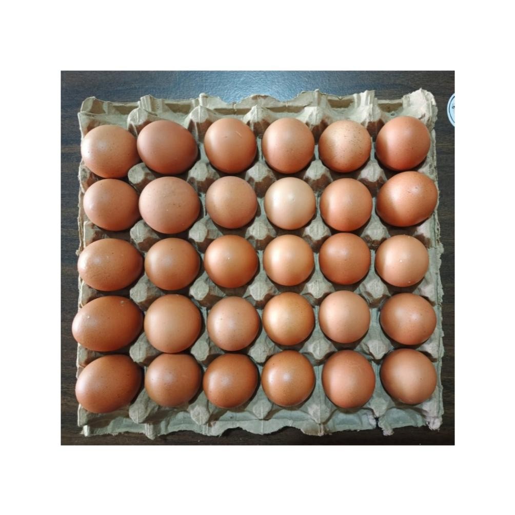 

Telur Ayam Negri Isi 30 Butir Fresh Dan Aman Nugi