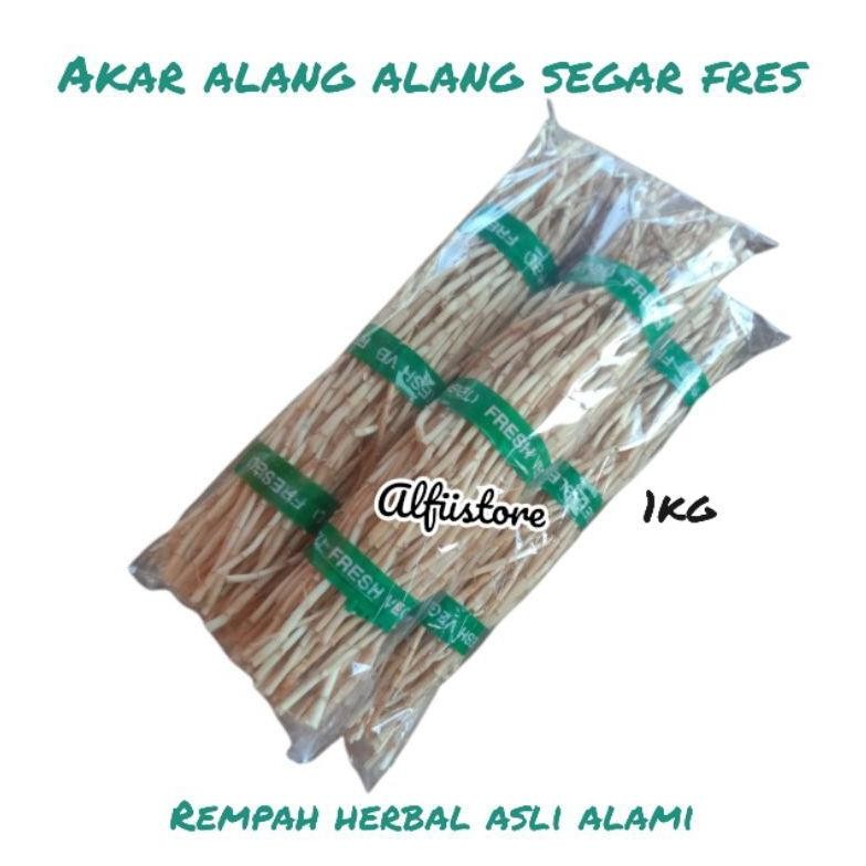 

akar alang alang Nugi