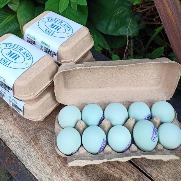 

Paket Telur Asin MR isi 10 - PENGIRIMAN REGULER Nugi