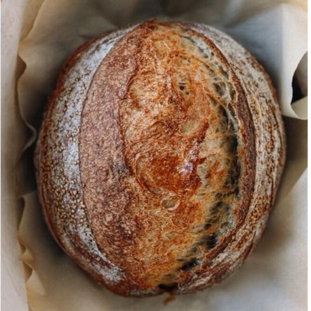

Roti Sourdough / Sourdough bread / artisan bakery sourdough cranberry cheese Nugi